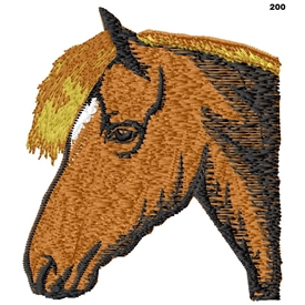 Pony Head 200
